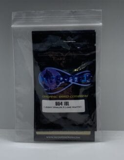 GG4 IBL (Regular) Mycotek Seeds