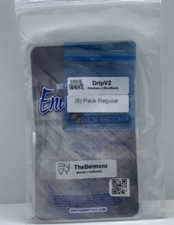 The Belmont (Regular) (space) Envy Genetics