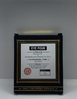 Eye Four (Regular) (space) Swamp Boys Seeds