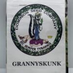 Granny Skunk (Regular) - Dominion Seed Company