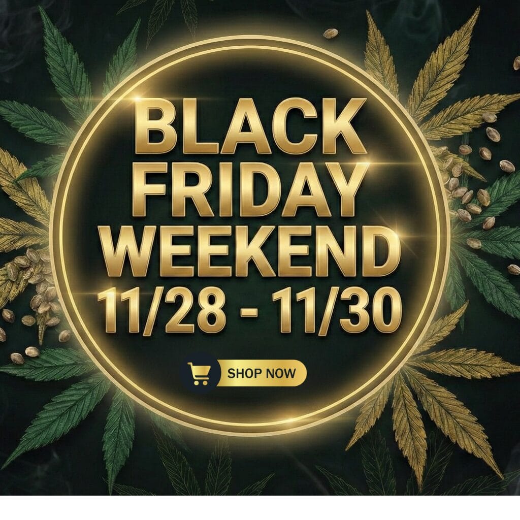 Autoflower Seeds Promotion