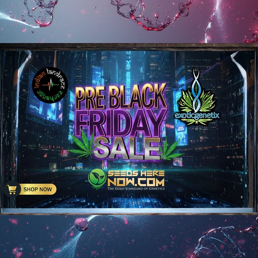 Autoflower Seeds Promotion