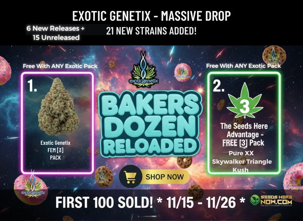 Autoflower Seeds Promotion