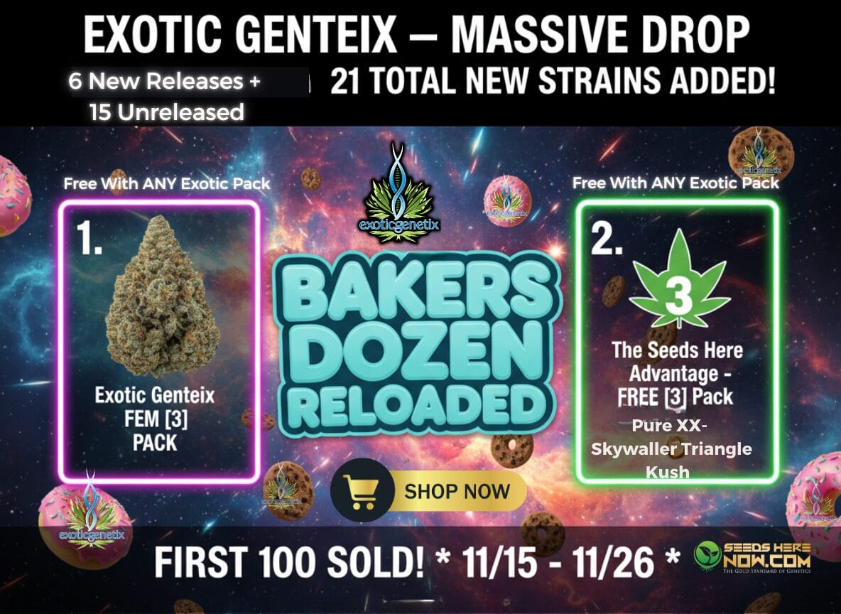 Autoflower Seeds Promotion