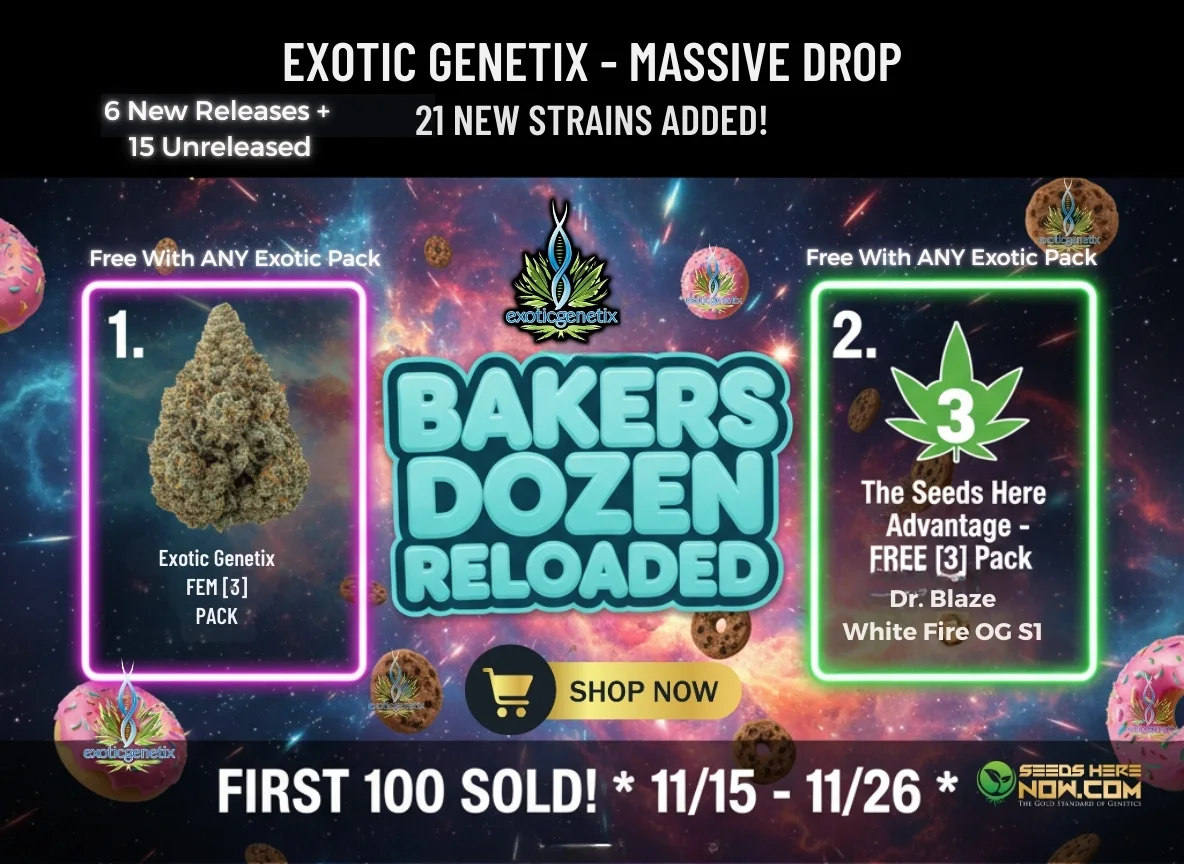Autoflower Seeds Promotion