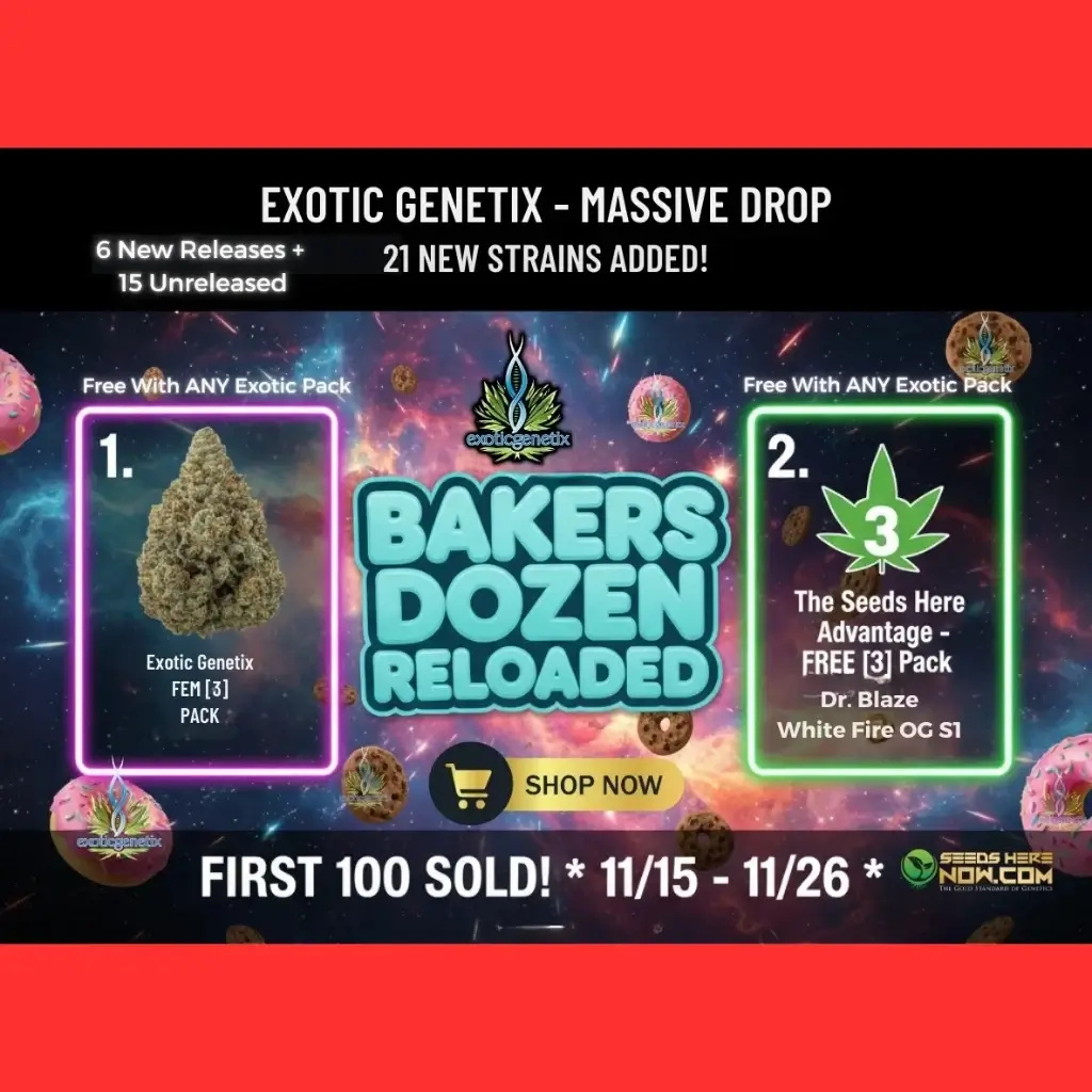 Autoflower Seeds Promotion