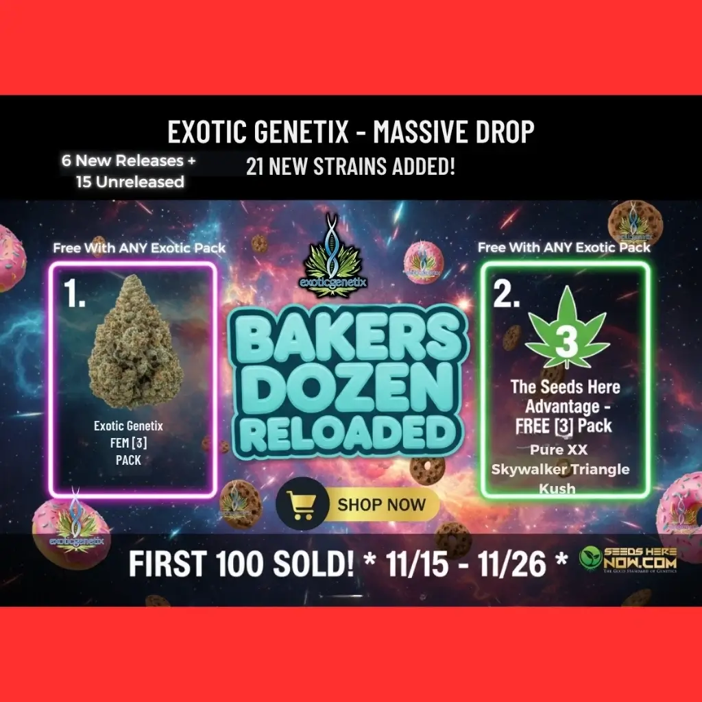 Autoflower Seeds Promotion