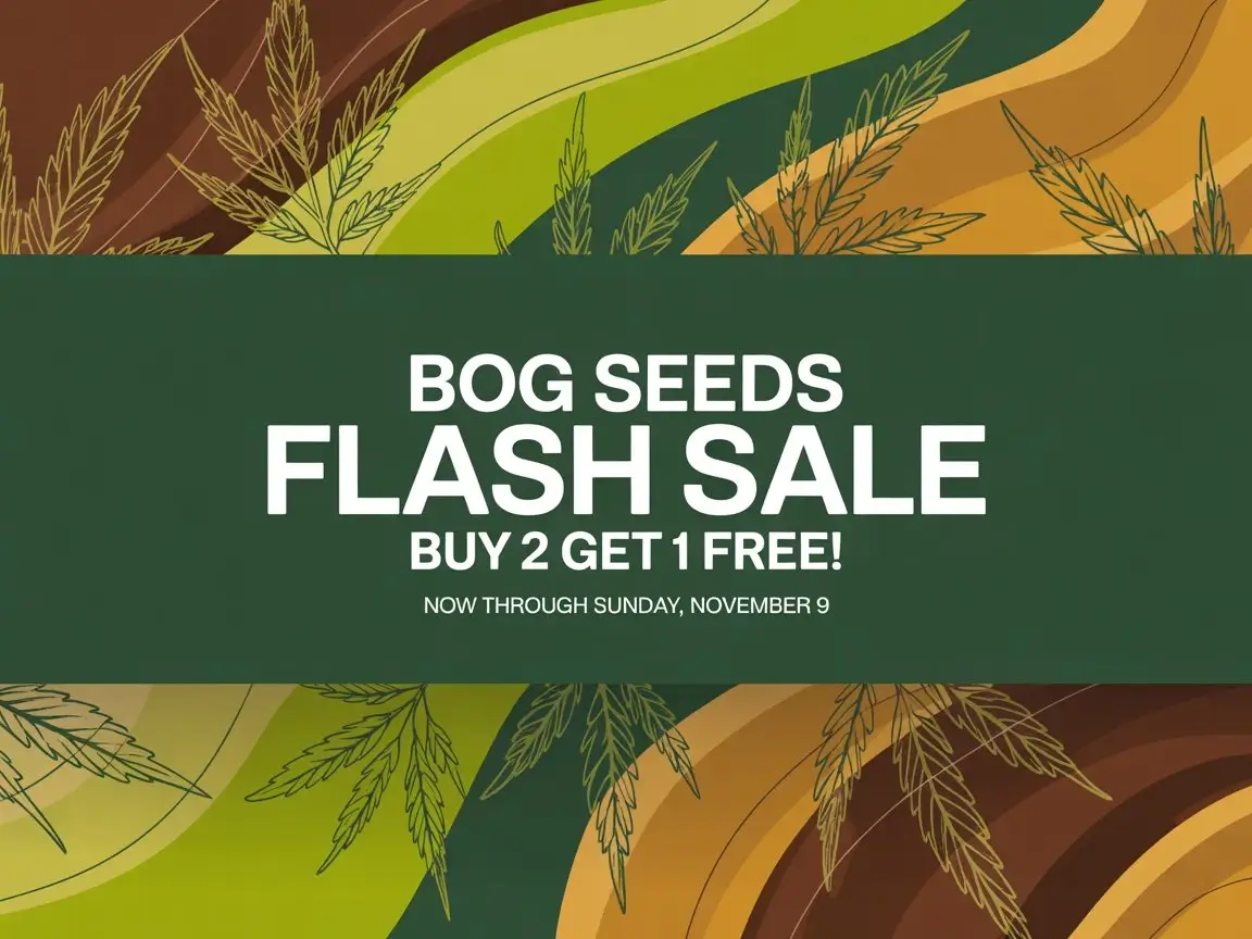 Autoflower Seeds Promotion