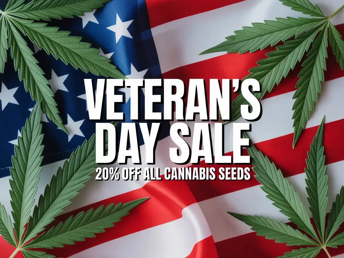 Autoflower Seeds Promotion