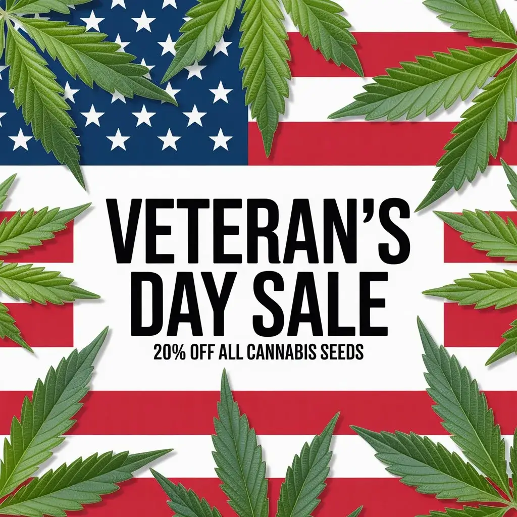 Autoflower Seeds Promotion