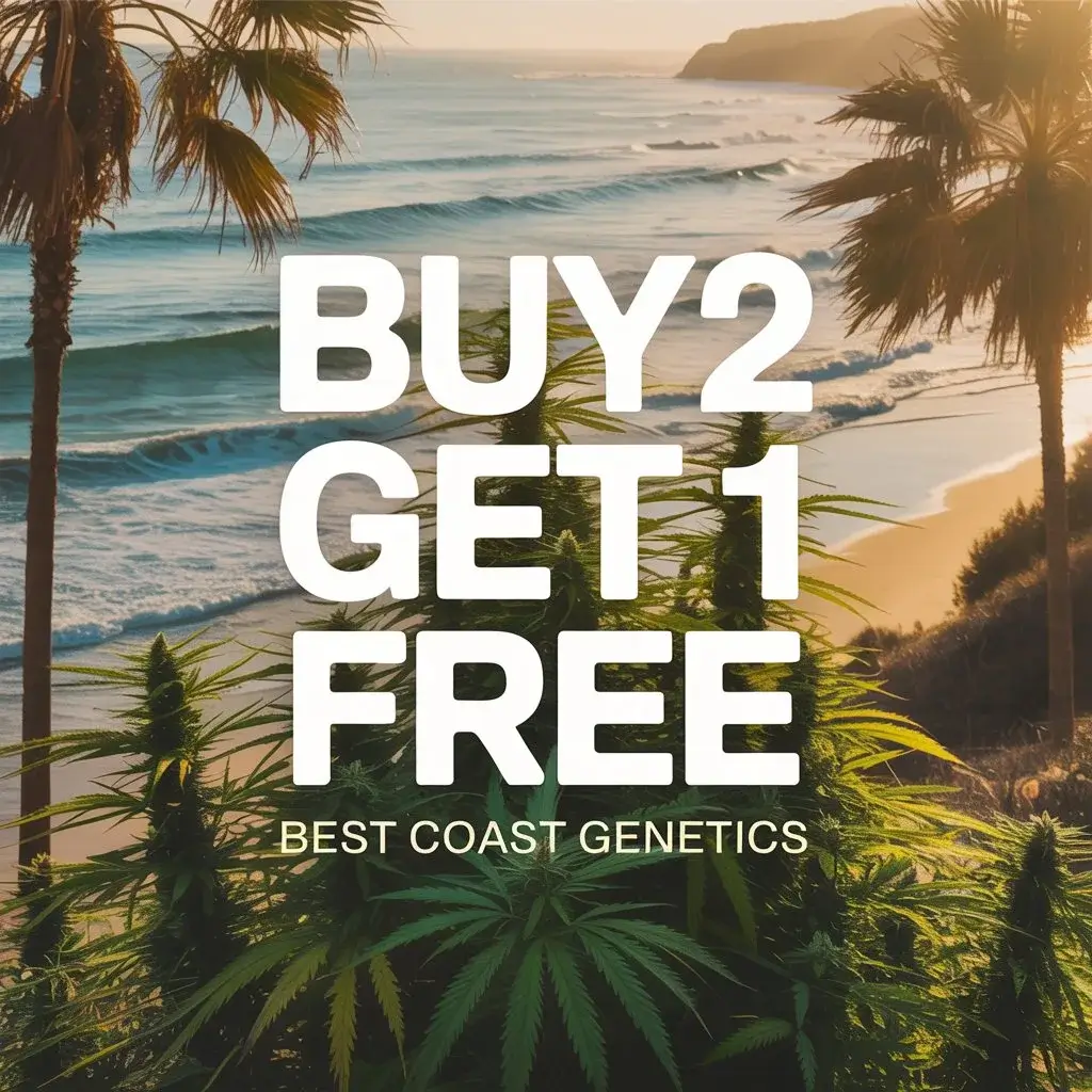 Autoflower Seeds Promotion