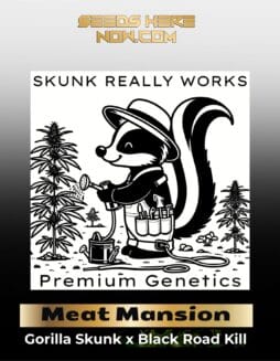 Meat Mansion (BX) (Regular) (space) Skunk Really Works