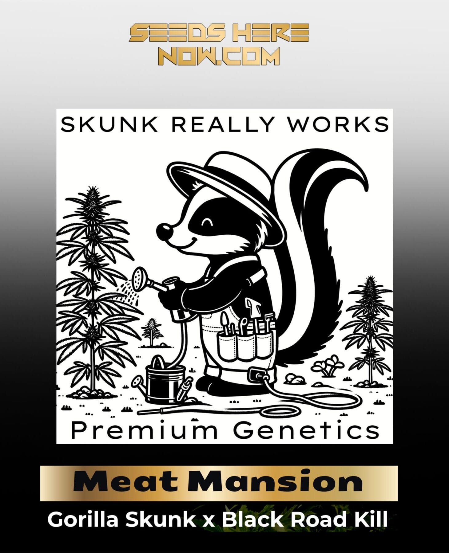 Meat Mansion (BX) (Regular) - Skunk Really Works