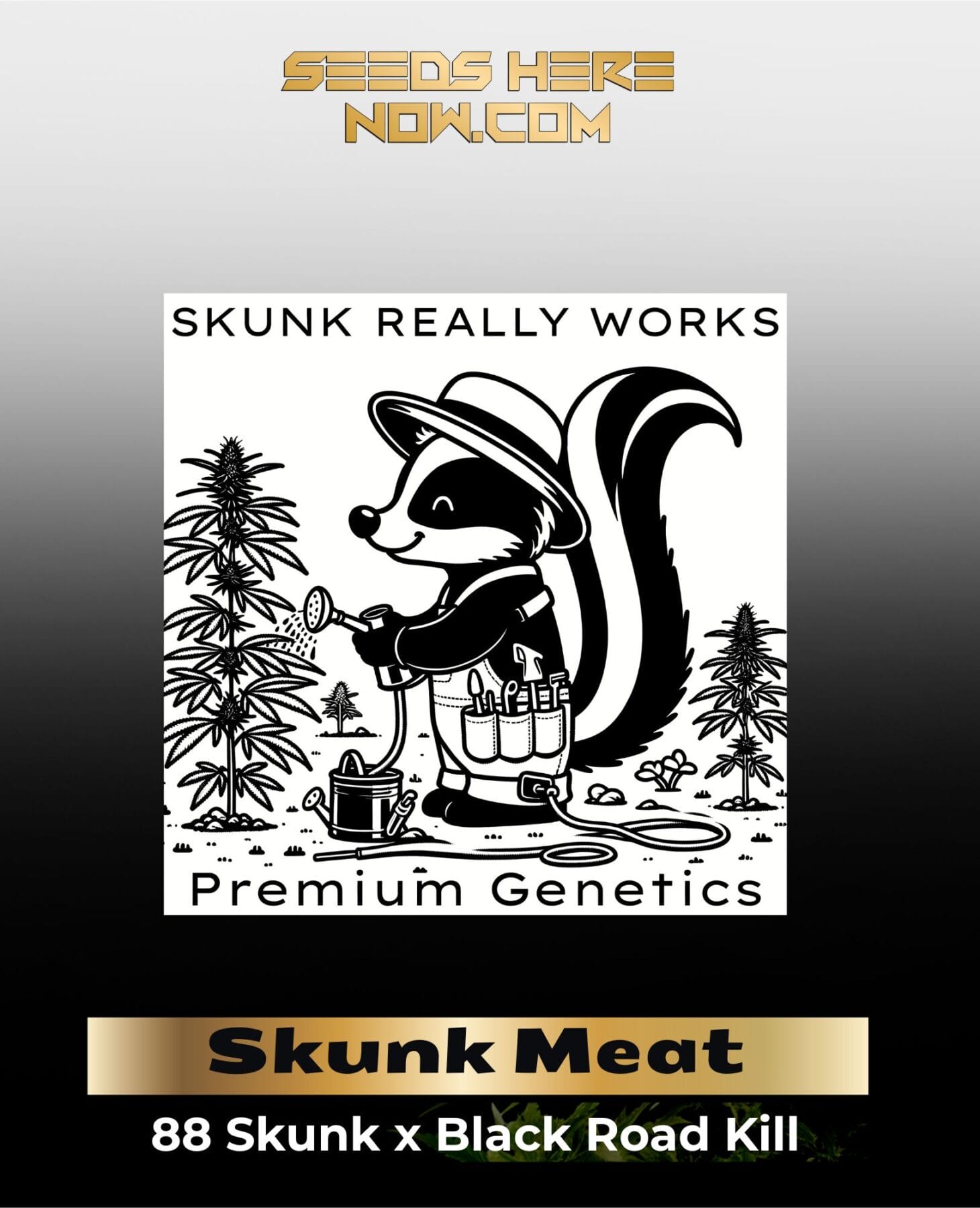 Skunk Meat (BX) (Regular) - Skunk Really Works