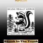 Skunk In The Trunk (Regular) - Skunk Really Works