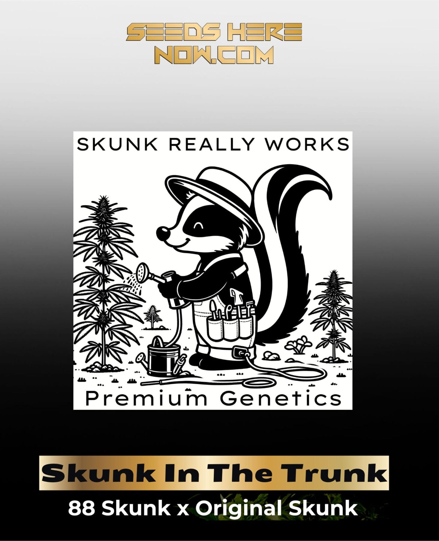 Skunk In The Trunk (Regular) - Skunk Really Works