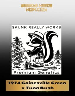 1974 Gainesville Green x Tuna Kush (Regular) (space) Skunk Really Works