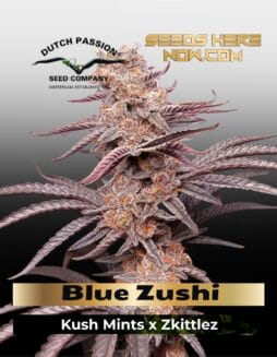 Blue Zushi (Feminized) (space) Dutch Passion
