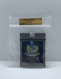 Green Ribbon Bx (Regular) (Space) Exotic Genetix – Green Ribbon BX (Regular) (space) Exotic Genetix