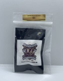 Irene x Irene Alien OG (Regular) (space) Obsoul33t Genetics