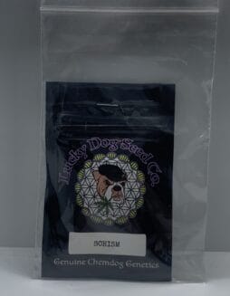 Schism (Regular) (Space) Lucky Dog Seeds – Schism (Regular) (space) Lucky Dog Seeds