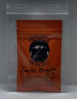 Garlic Breath 2.0 (Regular) (Space) Thug Pug – Garlic Breath 2.0 (Regular) (space) Thug Pug