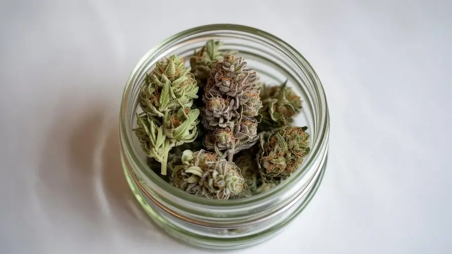 Fruit(space)Tella Strain Review: An Exotic Blend Of Berry Flavors – Fruit(space)Tella strain