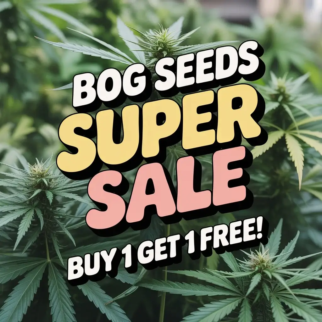 Autoflower Seeds Promotion