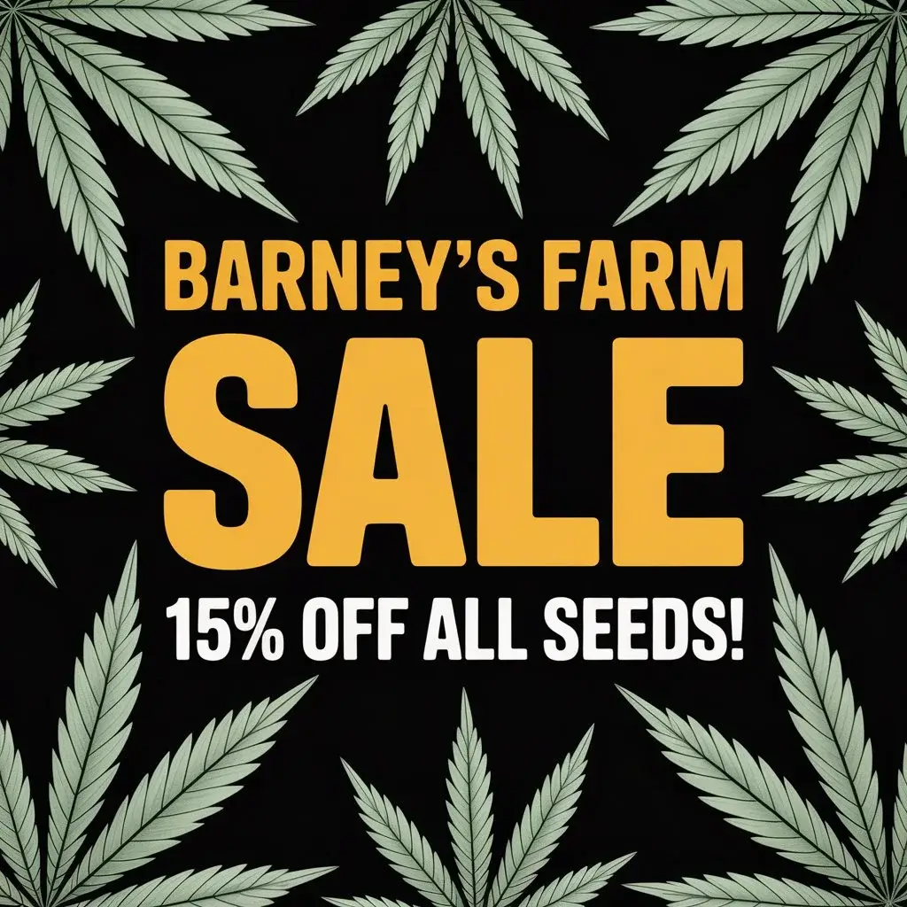 Autoflower Seeds Promotion