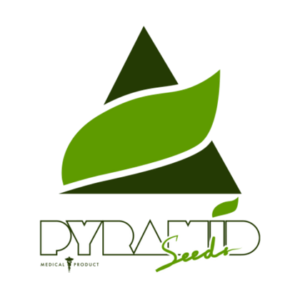 Pyramid Seeds β Pyramid Seeds