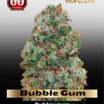 Bubble Gum (Feminized) - 00 Seeds
