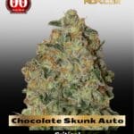 Chocolate Skunk Auto (Feminized) - 00 Seeds