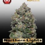 Northern Lights (Feminized) - 00 Seeds