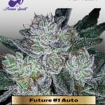 Future #1 Auto (Feminized) - Anesia Seeds