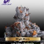 High Mars (Feminized) - Anesia Seeds