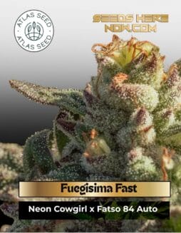 Fuegisima Fast (Feminized) (space) Atlas Seed