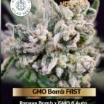 GMO Bomb FAST (Feminized) - Atlas Seed
