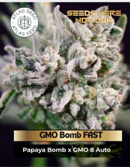 GMO Bomb FAST (Feminized) (space) Atlas Seed
