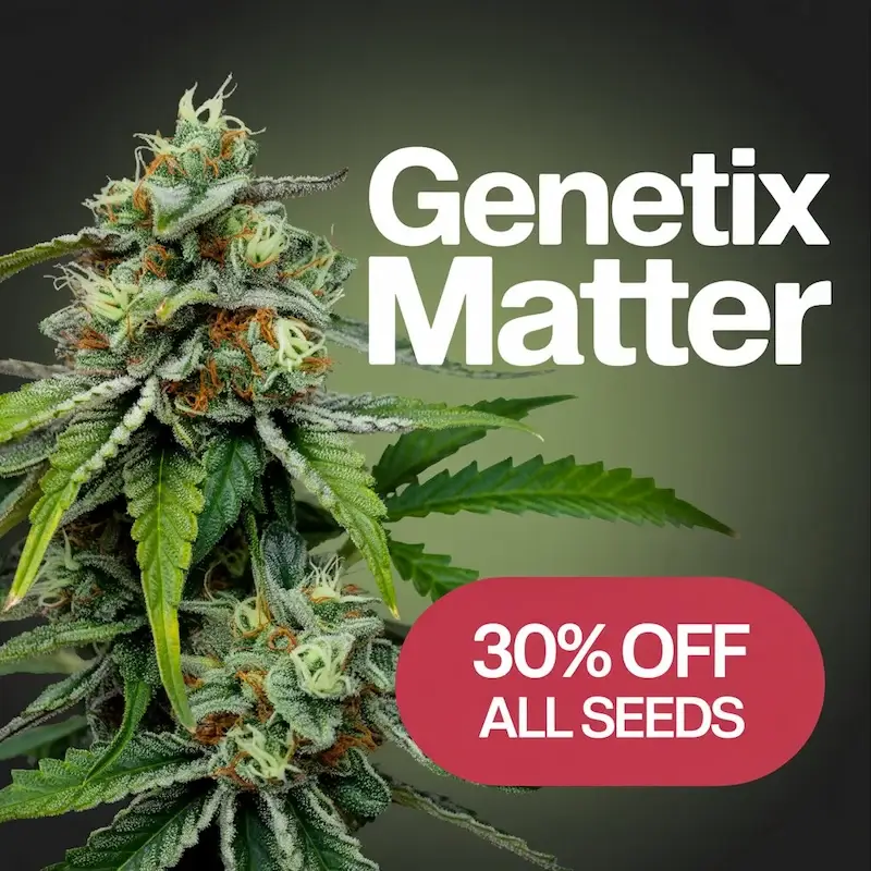 Autoflower Seeds Promotion