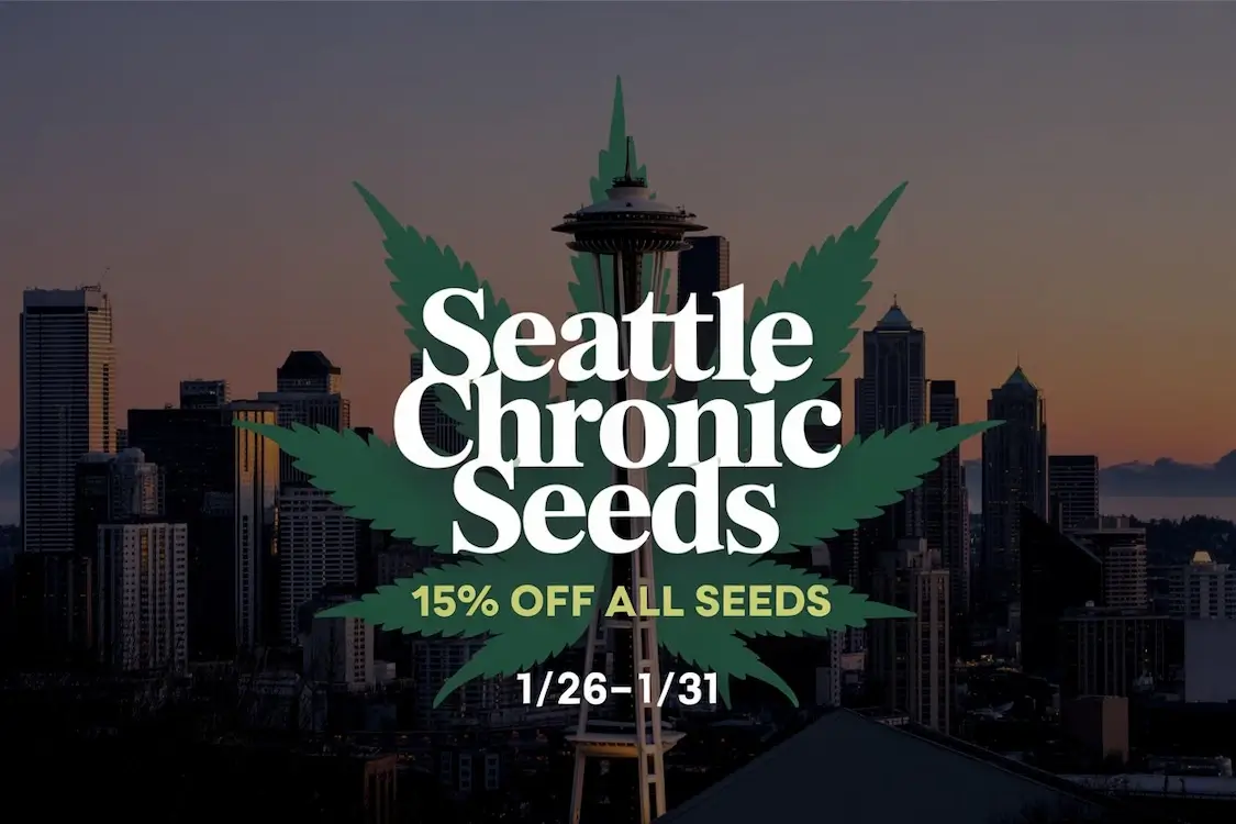 Autoflower Seeds Promotion
