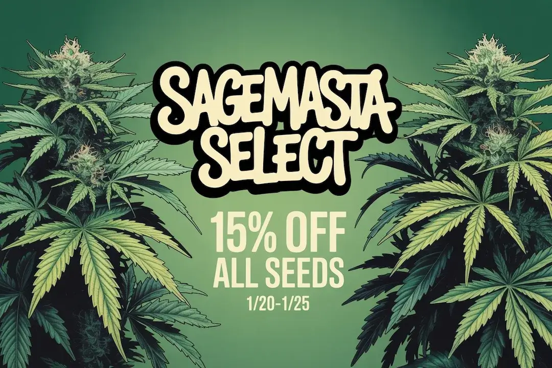 Autoflower Seeds Promotion