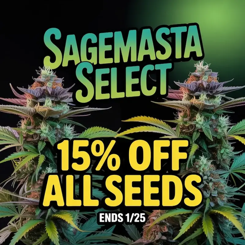 Autoflower Seeds Promotion