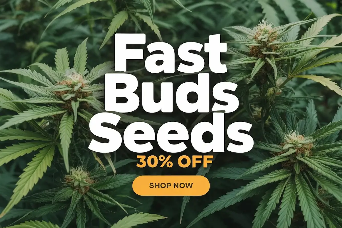 Autoflower Seeds Promotion
