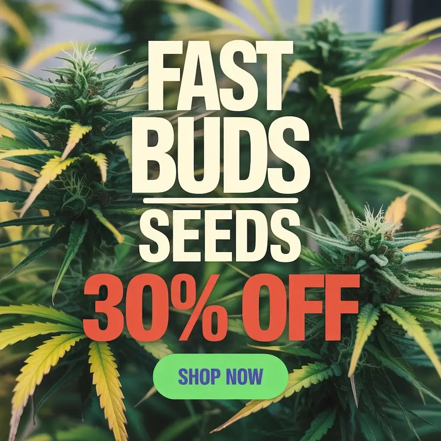 Autoflower Seeds Promotion