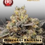 Biscotti Zkittlez (Feminized) - 00 Seeds