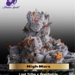 High Mars (Feminized) - Anesia Seeds