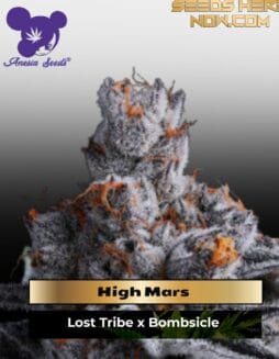 High Mars (Feminized) (space) Anesia Seeds