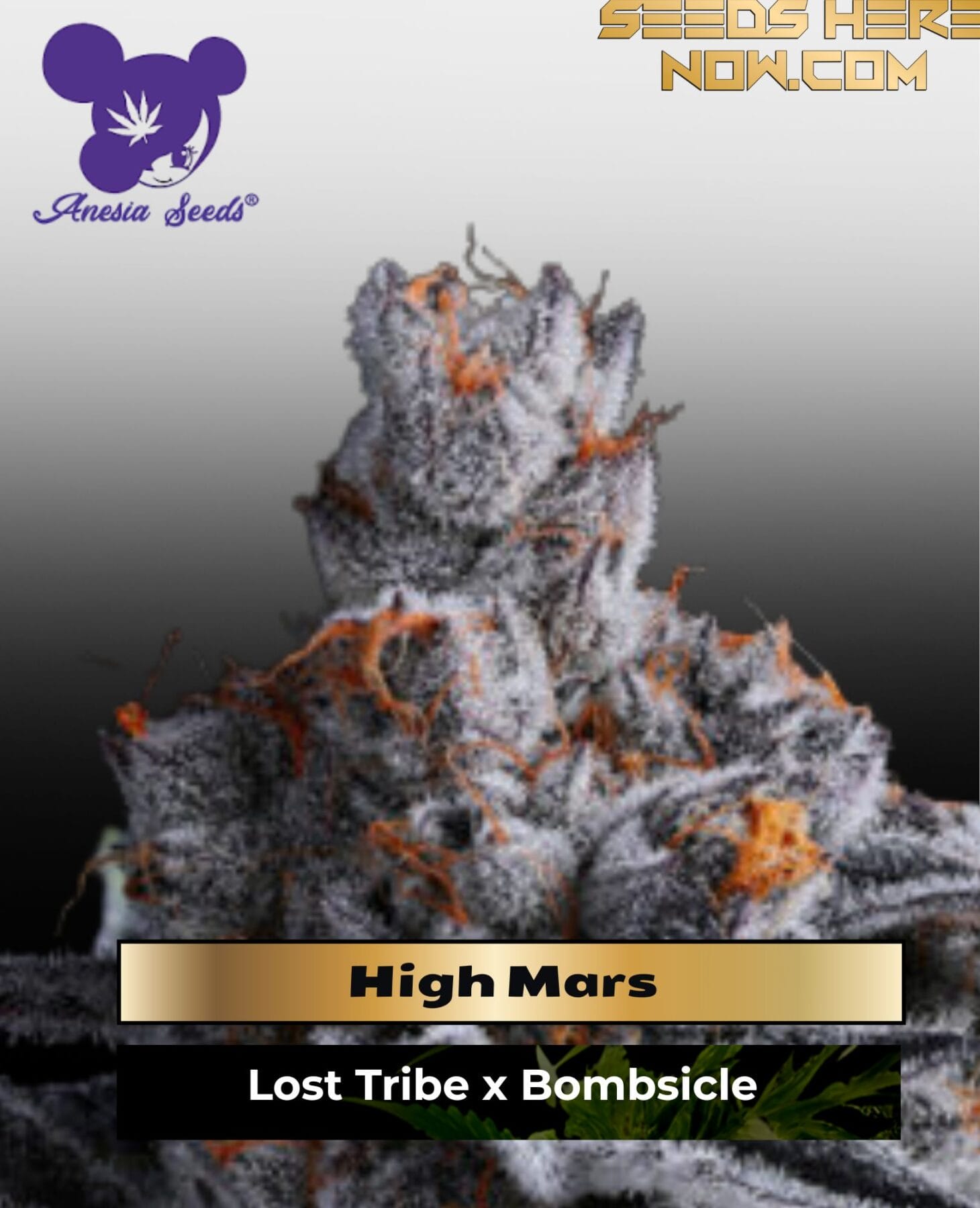 High Mars (Feminized) - Anesia Seeds