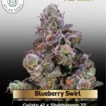 Blueberry Swirl (Feminized) - Atlas Seed