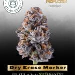 Dry Erase Marker (Feminized) - Atlas Seed